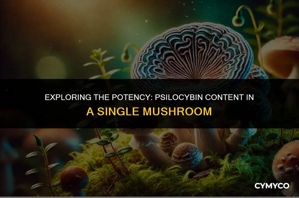 how much mg of psilcybin are in a single mushroom
