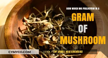 Exploring Psilocybin Potency: A Guide to Mushroom Dosage