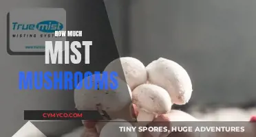 Exploring the Mystique: A Guide to Mist Mushrooms and Their Uses