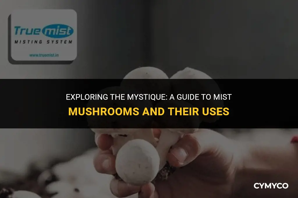 how much mist mushrooms