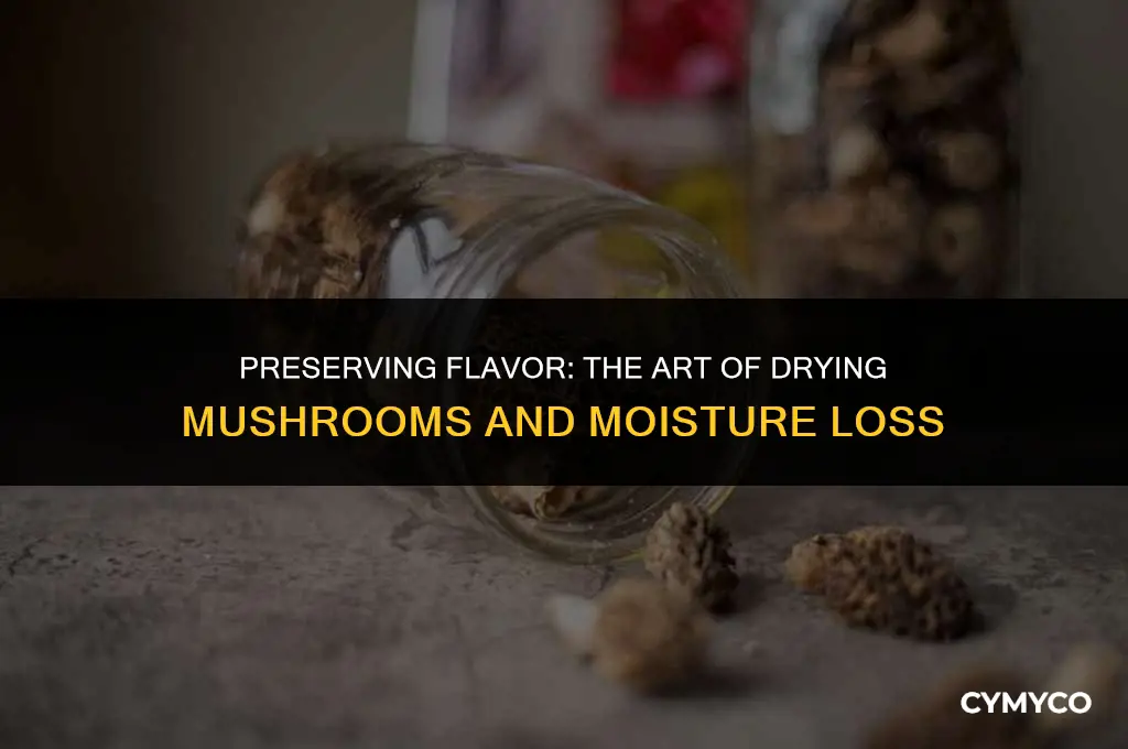 how much moisture is lost drying mushrooms