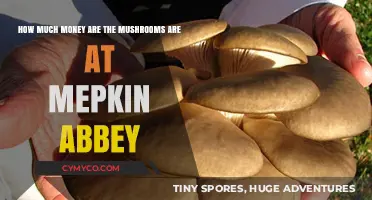 Exploring the Lucrative World of Mepkin Abbey's Mushrooms