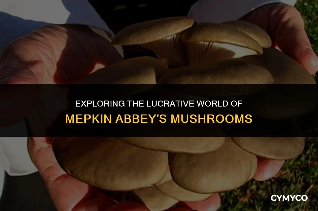 how much money are the mushrooms are at mepkin abbey