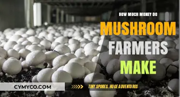 Exploring the Lucrative World of Mushroom Farming: A Financial Overview