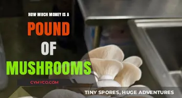 Exploring the Cost: How Much Money Is a Pound of Mushrooms?