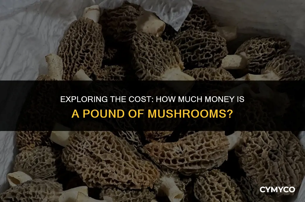 how much money is a pound of mushrooms
