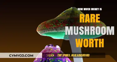 Exploring the Lucrative World of Rare Mushrooms: A Comprehensive Guide