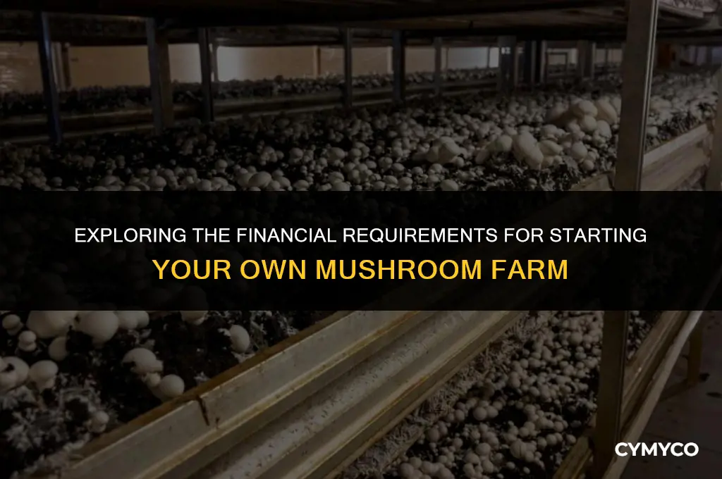 how much money to start a mushroom farm