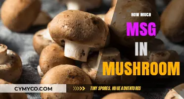 Unveiling the Umami: A Deep Dive into MSG in Mushrooms