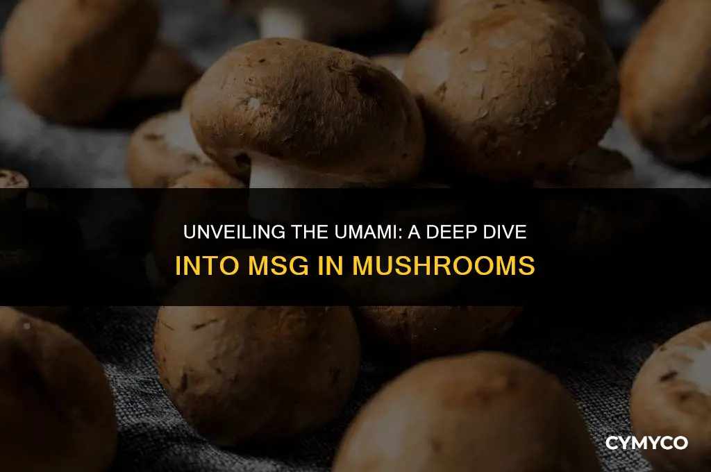 how much msg in mushrooms