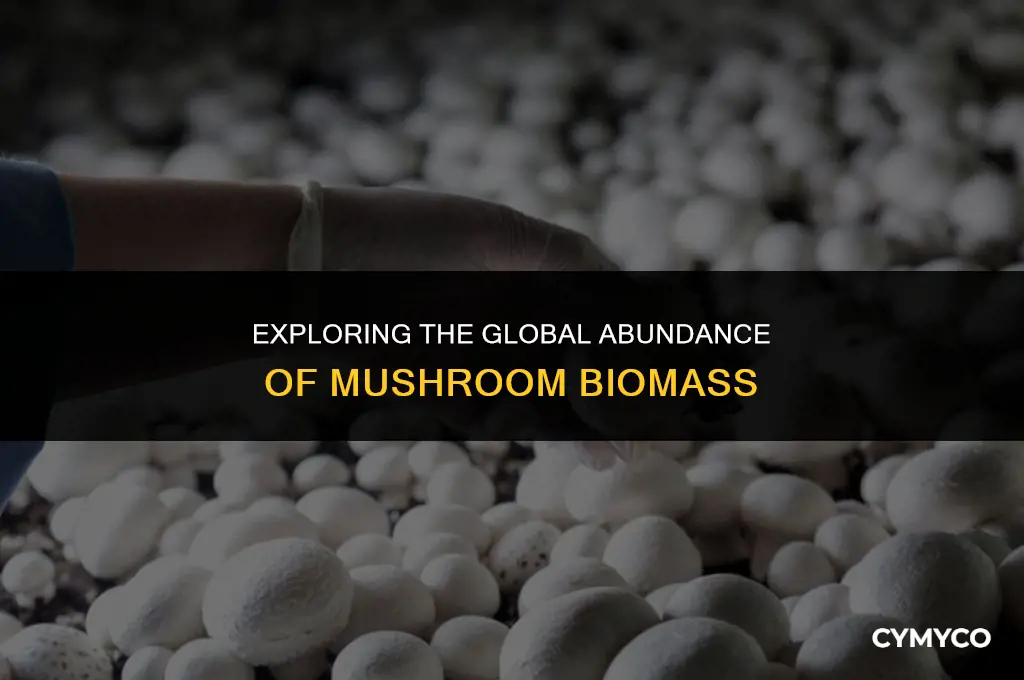 how much mushroom biomass in the world
