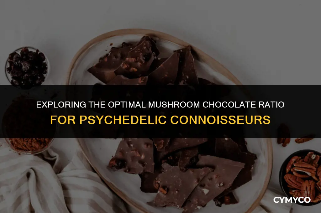 how much mushroom chocolate