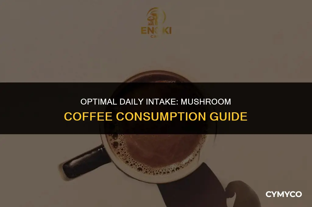 how much mushroom coffee should you drink a day