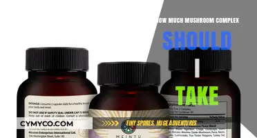 Optimal Mushroom Complex Dosage: A Comprehensive Guide