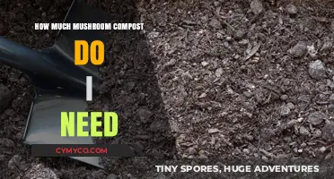 Optimal Mushroom Compost Quantity: A Guide for Gardeners