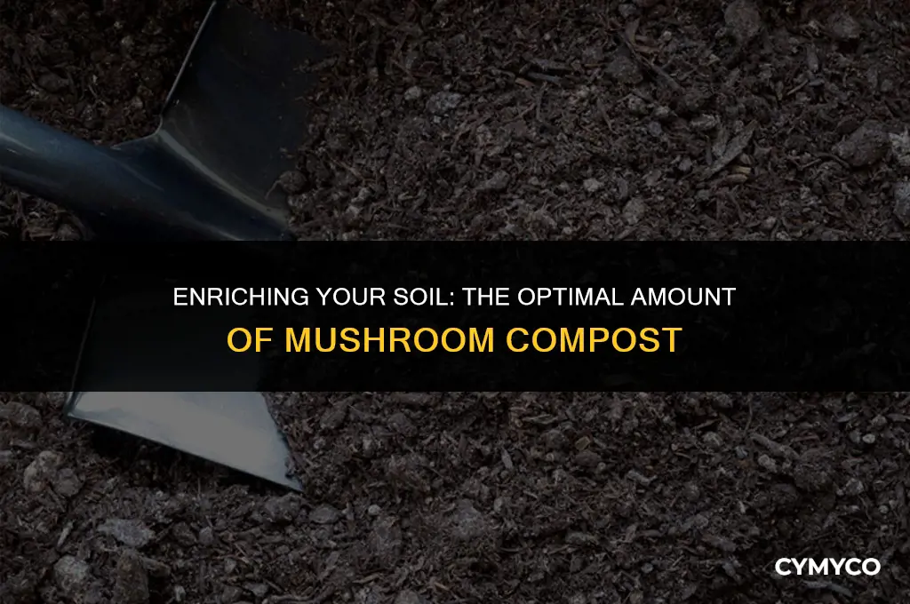 how much mushroom compost to add to soil