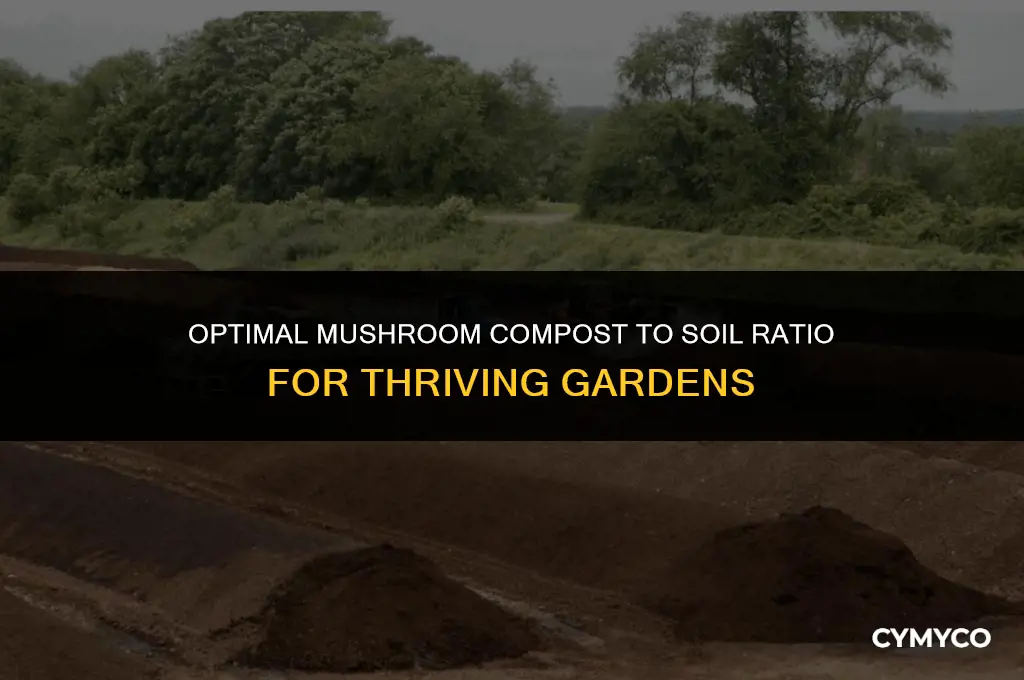 how much mushroom compost to dirt ratio