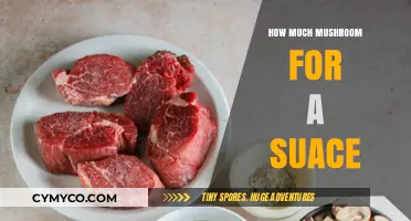 Crafting the Perfect Mushroom Sauce: A Culinary Guide