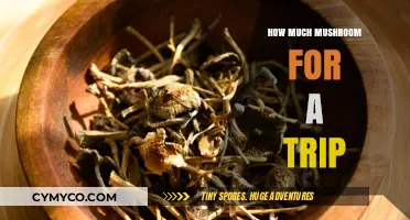 Exploring the Optimal Mushroom Dosage for a Transformative Journey