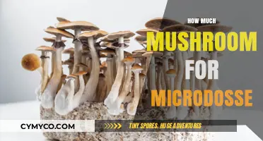 Exploring Microdosing: A Guide to Mushroom Dosage for Beginners