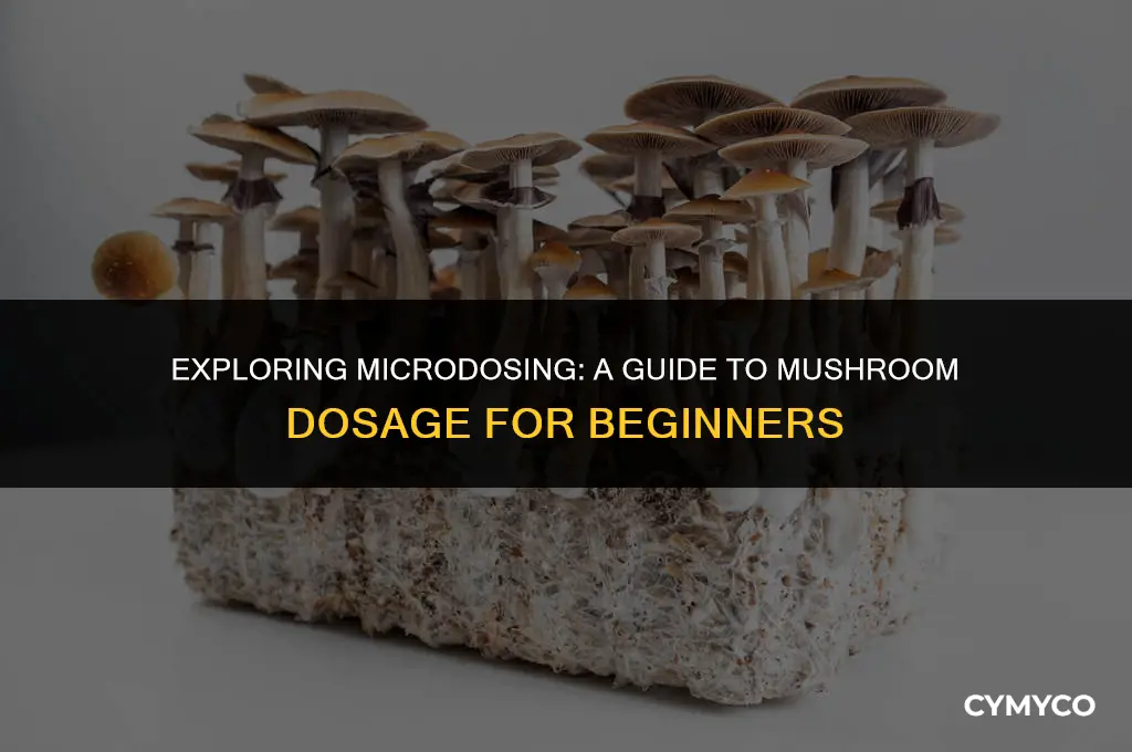 how much mushroom for microdosse
