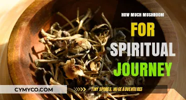 Exploring Consciousness: A Guide to Mushroom Dosage for Spiritual Journeys