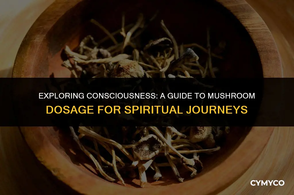 how much mushroom for spiritual journey