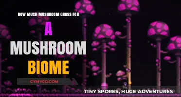 Optimal Mushroom Grass Quantity for a Thriving Mushroom Biome
