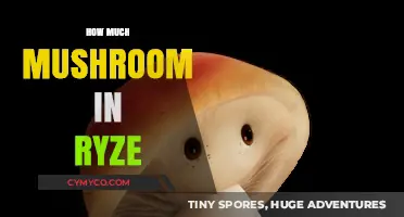 Exploring the Optimal Mushroom Quantity for Ryze Recipes