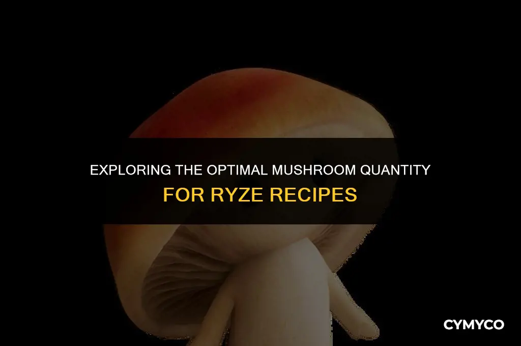 how much mushroom in ryze