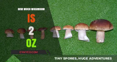 A Guide to Measuring Mushrooms: How Much is 2 Ounces?