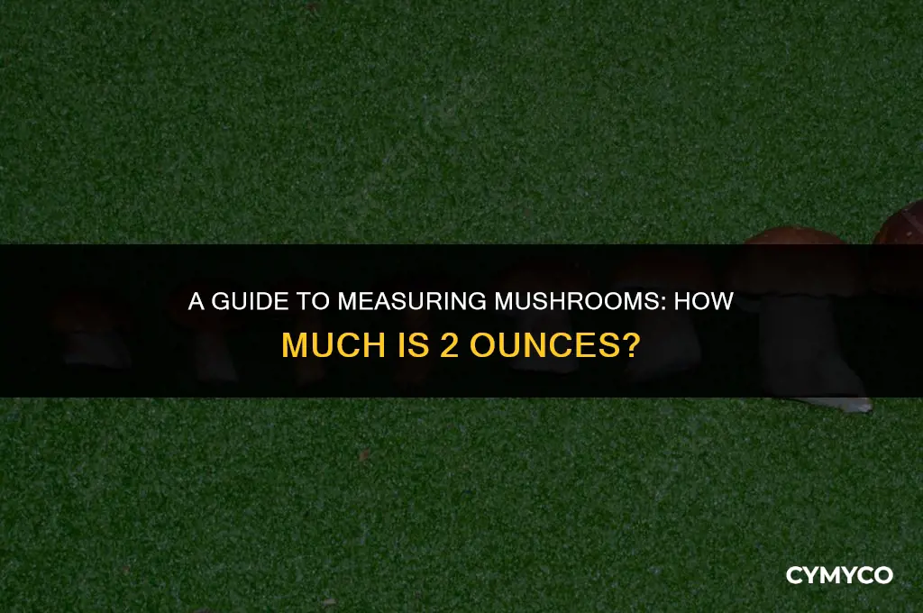 how much mushroom is 2 oz