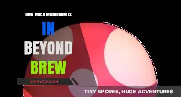 Exploring the Mushroom Content in Beyond Brew: A Comprehensive Guide