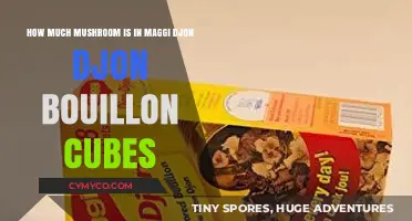 Exploring the Mushroom Content in Maggi Djon Djon Bouillon Cubes