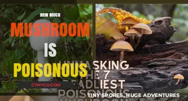Exploring the Toxicity of Mushrooms: A Guide to Poisonous Varieties