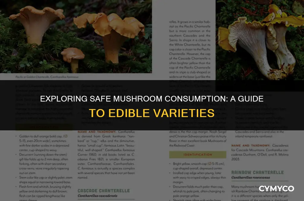 how much mushroom is safe