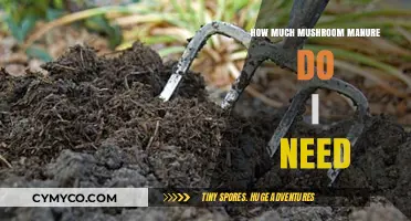 Optimal Mushroom Manure Quantities for Thriving Garden Beds