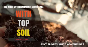 Optimal Mushroom Manure to Topsoil Ratio for Healthy Plant Growth