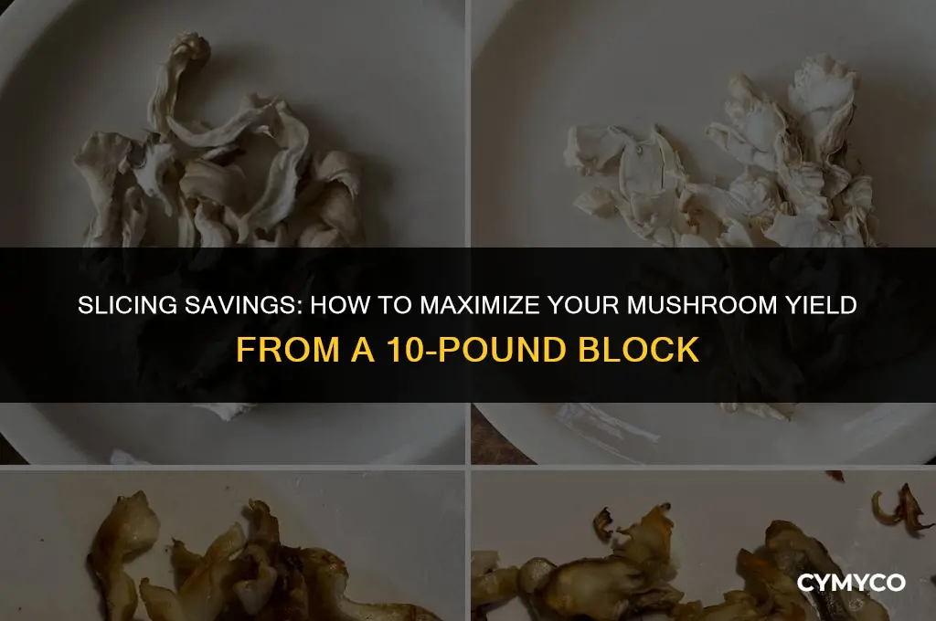 how much mushroom off a 10 lb block
