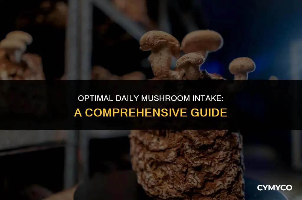 how much mushroom per day