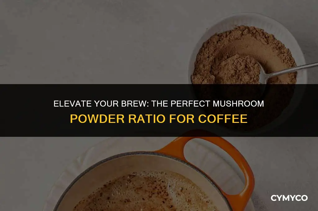 how much mushroom powder to add to coffee
