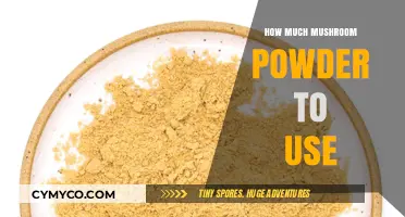Unlocking the Magic: Optimal Mushroom Powder Dosage for Your Recipes