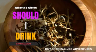 Exploring the Optimal Mushroom Dosage for Your Needs
