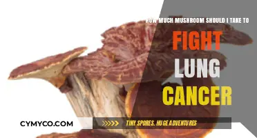 Exploring the Potential of Mushrooms in Combating Lung Cancer