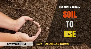 Optimal Mushroom Soil Usage: A Guide for Abundant Harvests