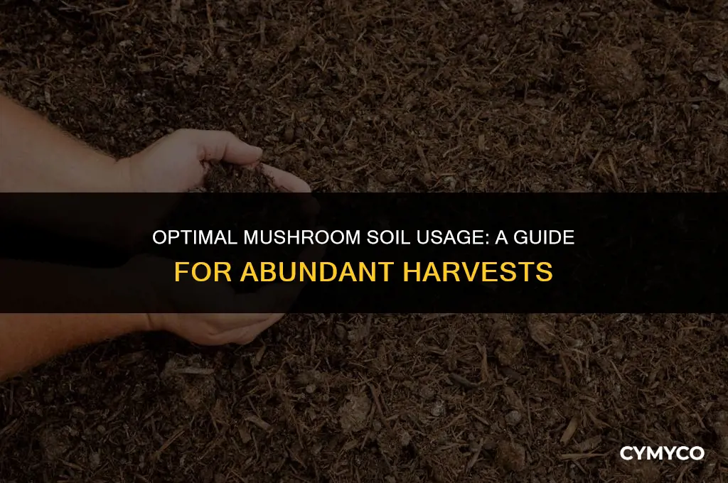 how much mushroom soil to use