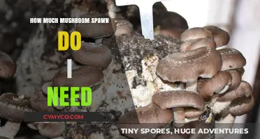 Calculating the Perfect Amount of Mushroom Spawn for Your Project
