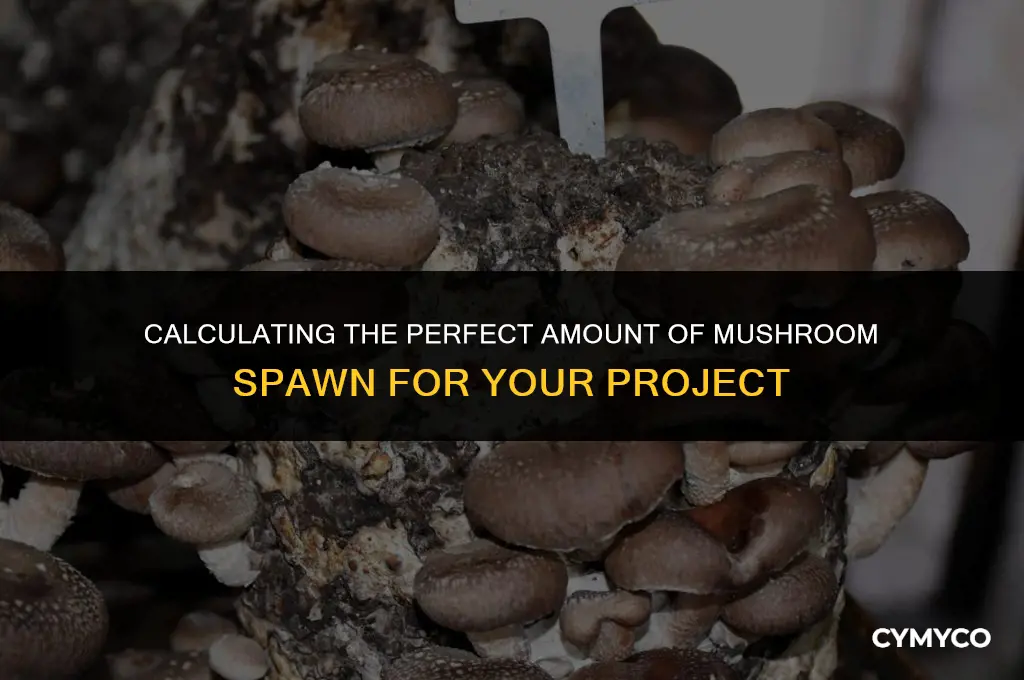 how much mushroom spawn do i need