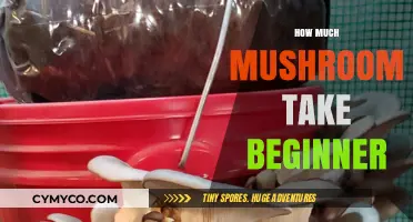 A suitable blog title for the topic "how much mushroom take beginner" that adheres to the requested length and style could be: