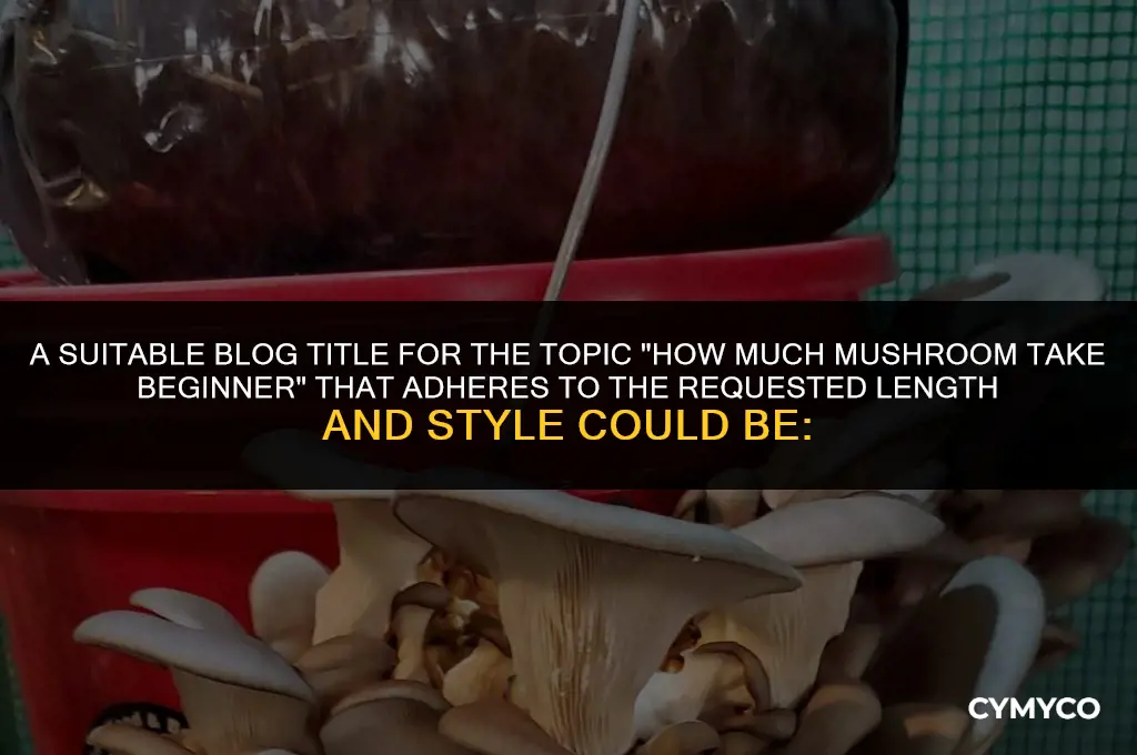 how much mushroom take beginner